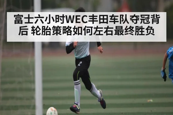 富士六小时WEC丰田车队夺冠背后 轮胎策略如何左右最终胜负